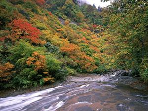 熊本県八代市のビジネスホテル：東横INN新八代駅前の魅力と特徴