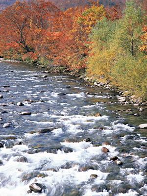 東横イン川口駅前｜高速アクセスと快適さを兼ね備えたビジネスホテル
