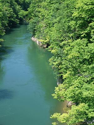 【茨城県取手市の便利なビジネスホテル】東横INN取手駅東口の魅力と詳細情報