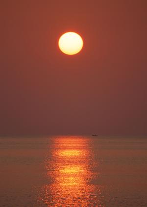 栃木県下都賀郡にある東横INNホスピタルイン獨協医科大学：快適なビジネス＆観光拠点の詳細ガイド