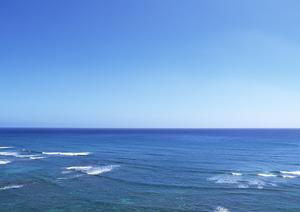 東横イン羽田空港1｜羽田空港アクセス抜群のビジネスホテルの魅力と詳細情報