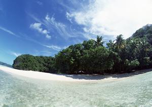 快適なビジネスと観光に最適！東横INN宇都宮駅前1の魅力と詳細ガイド