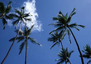 島根県出雲市に位置する東横イン出雲市駅前の魅力と施設詳細