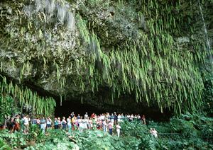 千葉県市川市に位置する東横INN西船橋原木インター：快適な宿泊と便利なアクセスを提供するビジネスホテル