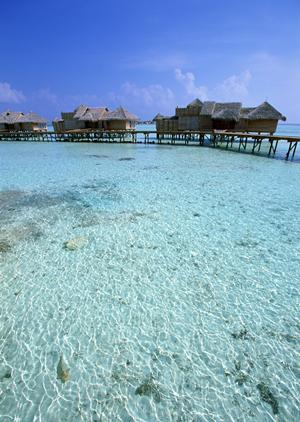 神戸駅徒歩5分！快適な滞在を提供する東横INNJR神戸駅北口の魅力と詳細情報