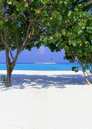 【神奈川・横浜】駅チカで便利！東横INN二俣川駅北口の魅力と詳細ガイド